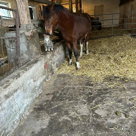 Ferien Und Freizeithof Engelau Pensión 3*