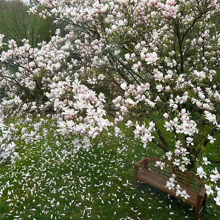Ferien Und Freizeithof Engelau