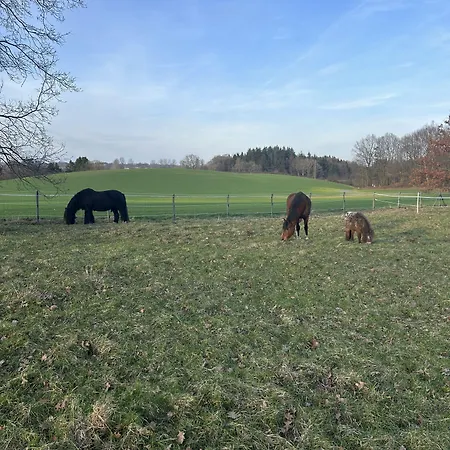 Ferien Und Freizeithof Engelau Pensión Giekau